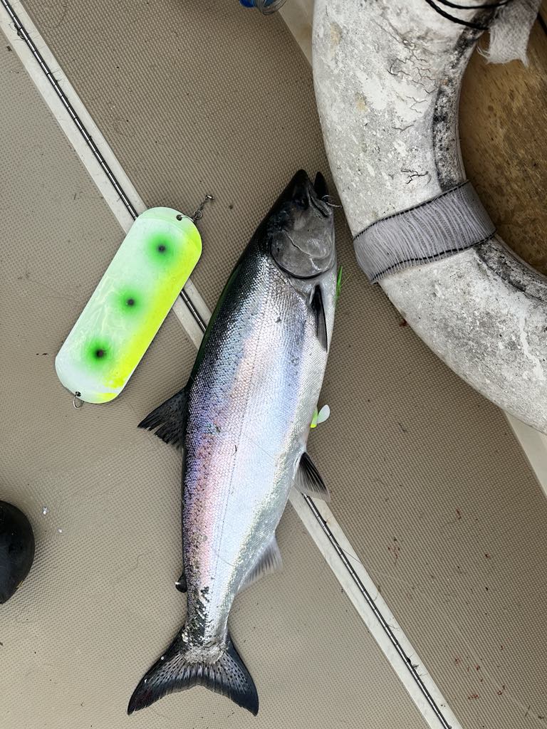 Alien Glow Both Sides 8" Dodger