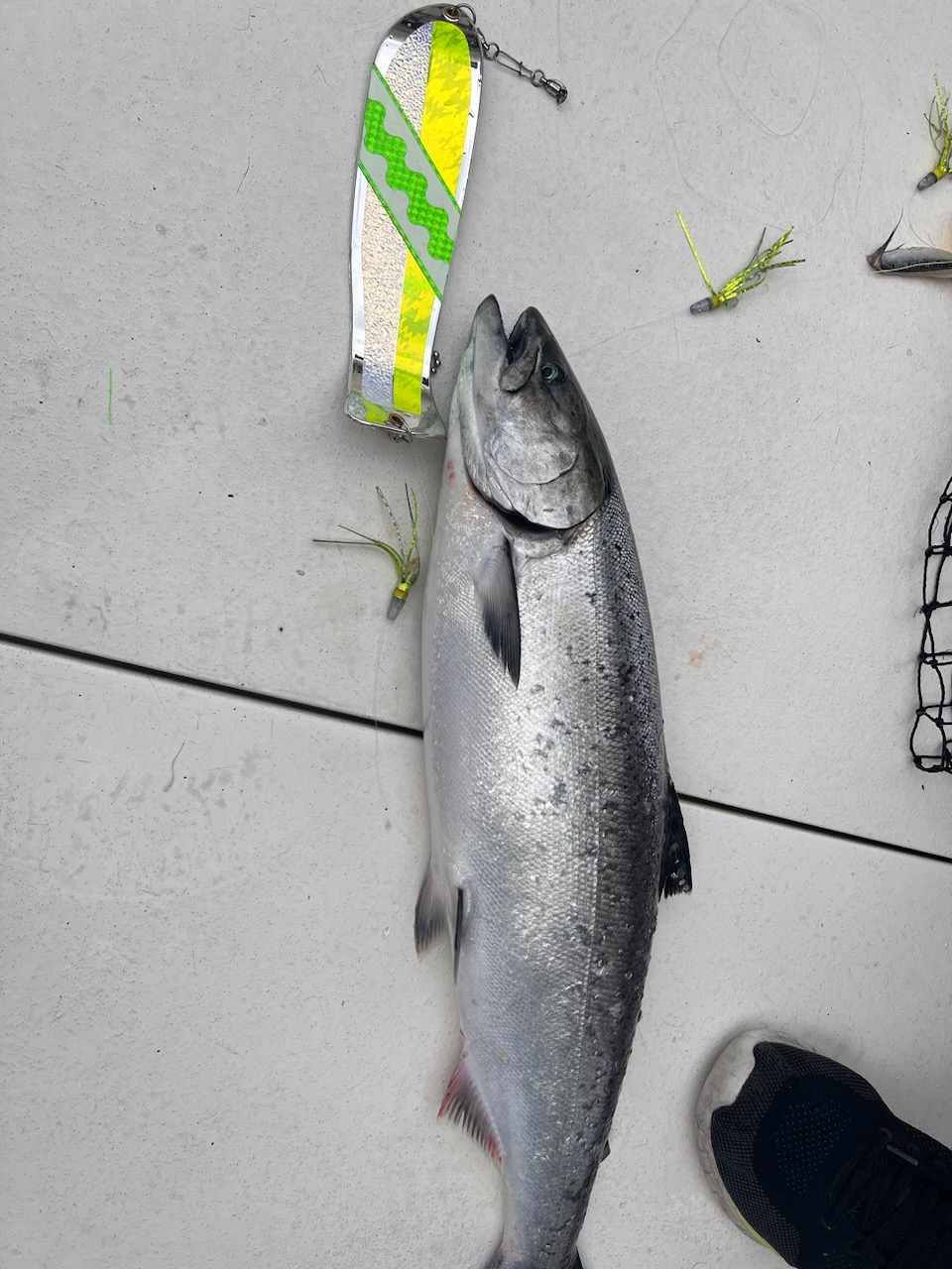 Chin Music Mt Dew Glow 10" Fish Shaped Paddle Flasher