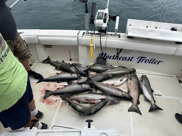 Confused Carlson - Yellow 8" Paddle