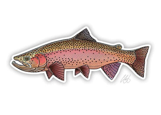 Rainbow Trout - Colored Up - Casey Underwood