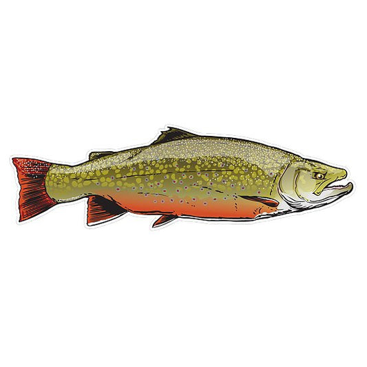 Brook Trout XL Decal