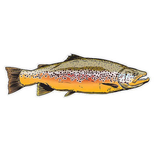 Brown Trout XL Decal