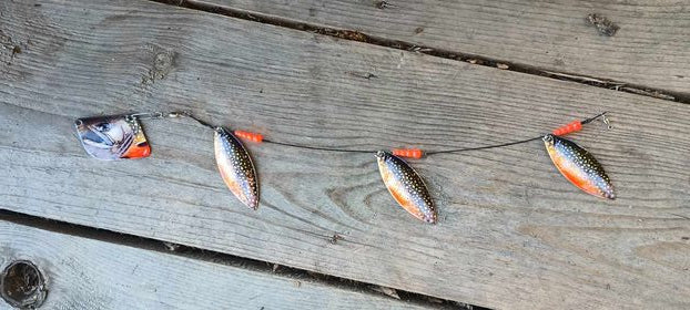 Brook Trout Image Mini Lake Troll – Northeast Troller, LLC Brook Trout Image Mini Lake Troll – Northeast Troller, LLC