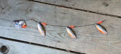 Brook Trout Image Mini Lake Troll – Northeast Troller, LLC Brook Trout Image Mini Lake Troll – Northeast Troller, LLC