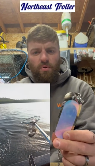 Wild Fern's UV - 4.5" Traditional Dodger