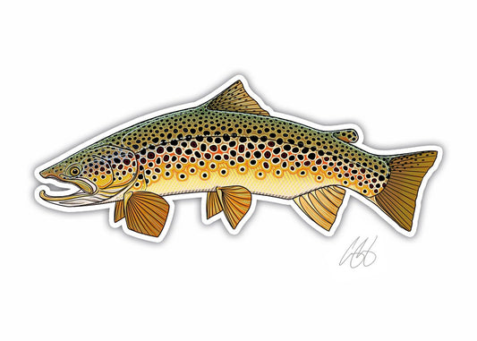 Brown Trout - Casey Underwood