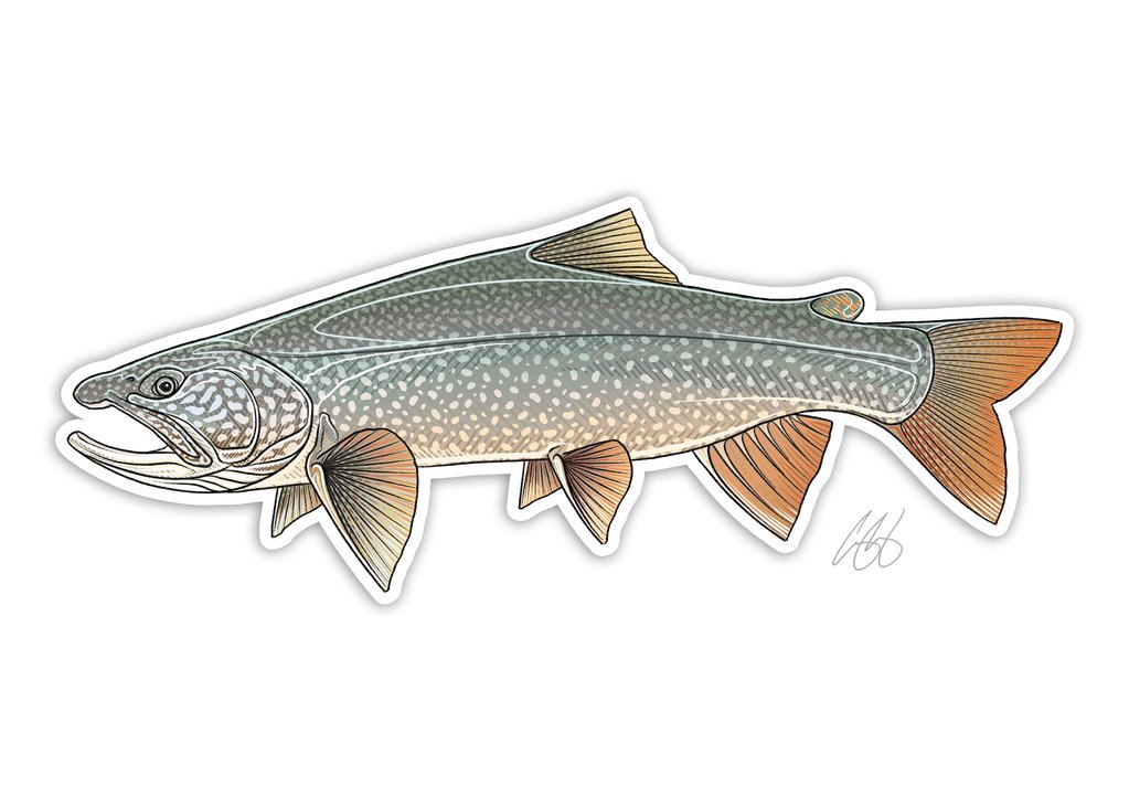 Lake Trout - Casey Underwood